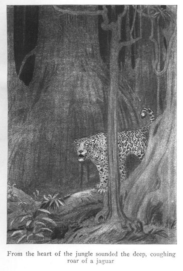 jaguar in a jungle