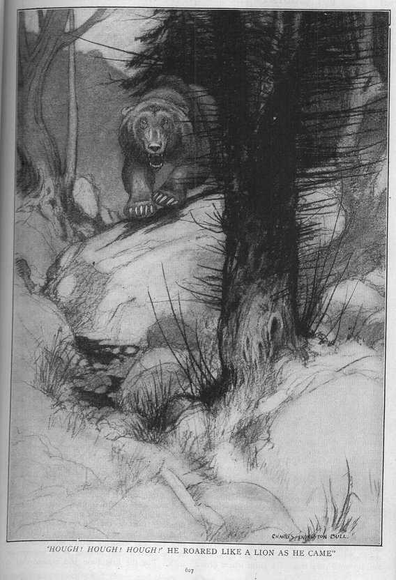 the charging bear