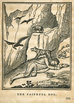 a dog guards a sleeping boy from birds and a wolf