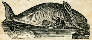 two men beside a beached whale