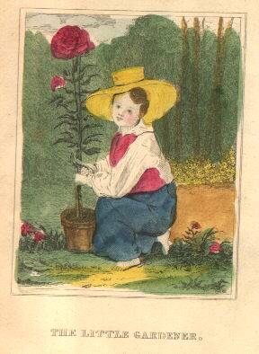little boy with big flower