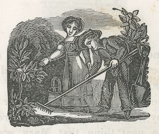 a girl watches a boy raking
