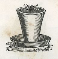 a flower pot with dirt and sprouting plants