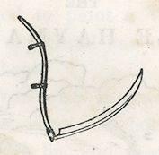 a long-handled scythe