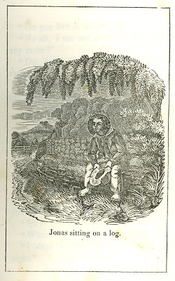 a boy sits on a log