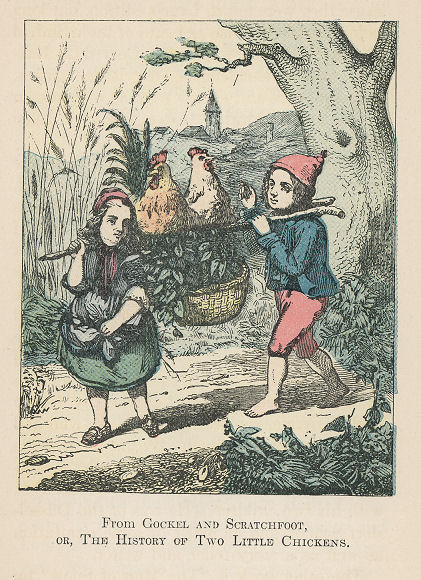 the return of the chickens