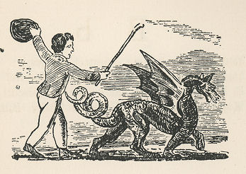 boy driving a dragon