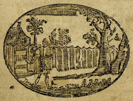 a boy in a tree