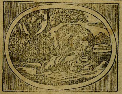 bear and man