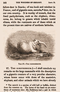 dinotherium