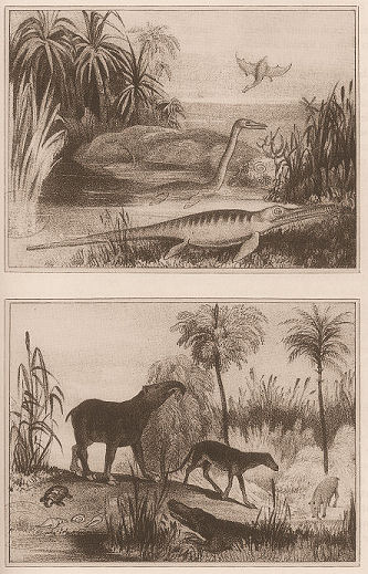 landscapes