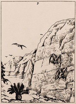 three pterosaurs