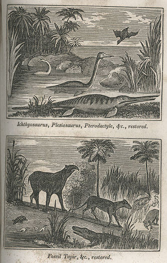 landscapes