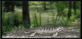 ichthyosaur
