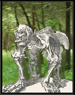 megatherium skeleton