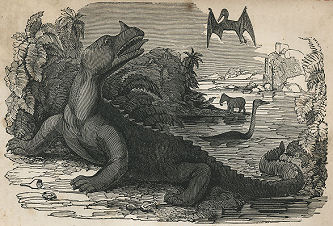 iguanodon, Merry's Museum