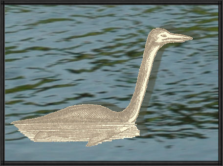 a plesiosaur