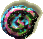 a shell