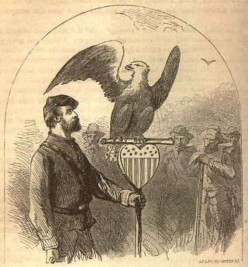 the eagle