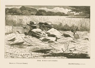 The Bird-Catchers