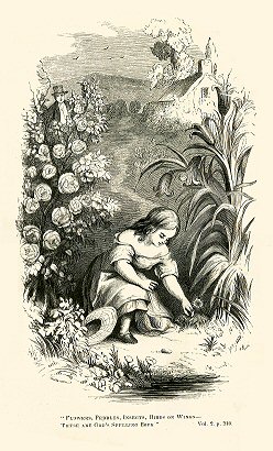 a little girl picks flowers