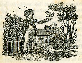 illus of white boy and bird