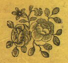 woodcut of roses