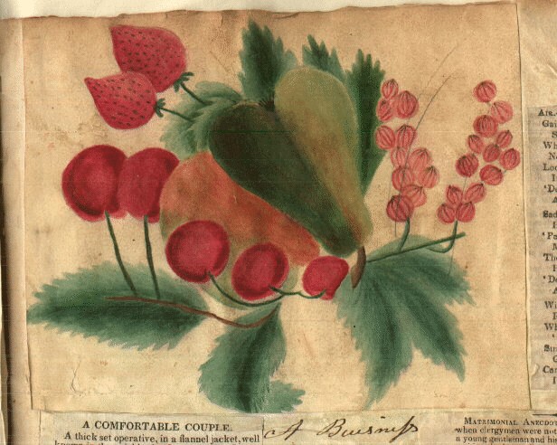 still life with fruit