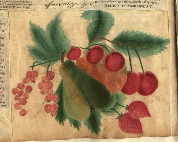 still life, right side up