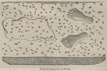 two footprints in fossil-filled rock