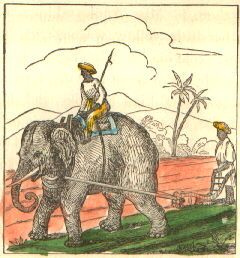 a man rides an elephant that pulls a plow