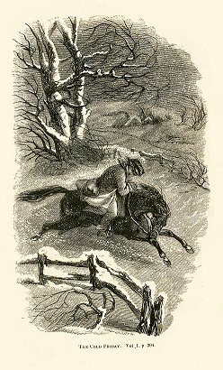 boy, horse, snowstorm