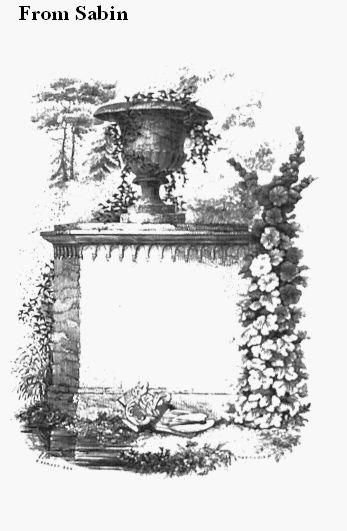 a stone urn with ivy stands atop a wall with a large blank space
